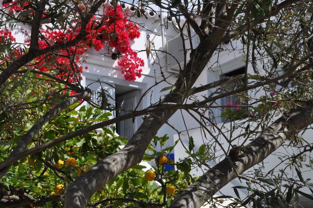ספצס Villa Christina מראה חיצוני תמונה